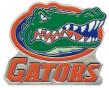gator.jpg
